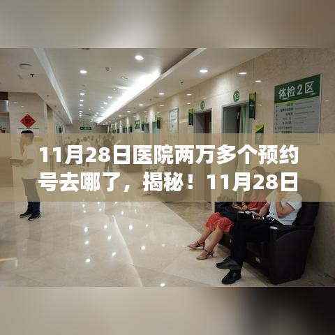 揭秘医院两万多个预约号去向，如何查询预约情况详细步骤指南