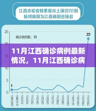 江西11月确诊病例最新动态，全面解析与深度洞察