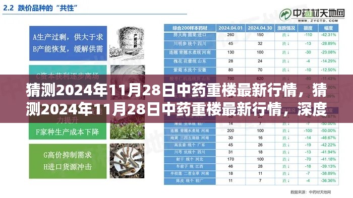 2024年11月28日中药重楼行情深度分析与预测，最新趋势及价格走向