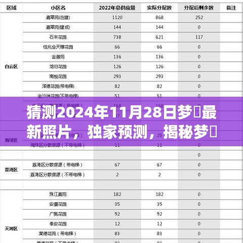 独家预测，揭秘梦玥2024年11月28日神秘瞬间的最新照片