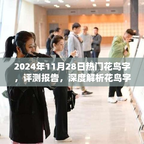 2024年11月28日花鸟字魅力与表现深度评测报告