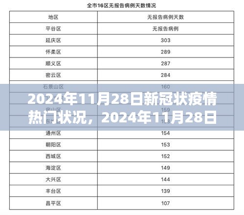 全球新冠疫情最新状况概览，聚焦2024年11月28日