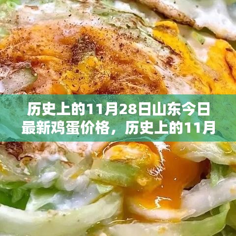 🔍揭秘历史鸡蛋价格大揭秘，山东今日鸡蛋行情小红书带你探寻最新动态！