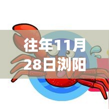 探秘浏阳高铁新动态下的隐藏小巷美食宝藏，最新消息揭秘往年11月28日浏阳高铁进展