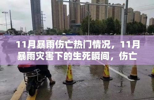 11月暴雨灾害下的生死瞬间与深度伤亡情况解析