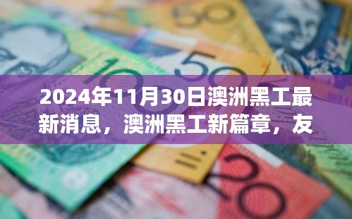 澳洲黑工新篇章，友情、趣事与家的温馨交汇（2024年11月30日最新消息）