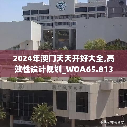 2024年澳门天天开好大全,高效性设计规划_WOA65.813抓拍版