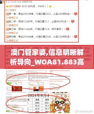 澳门管家婆,信息明晰解析导向_WOA81.883高效版