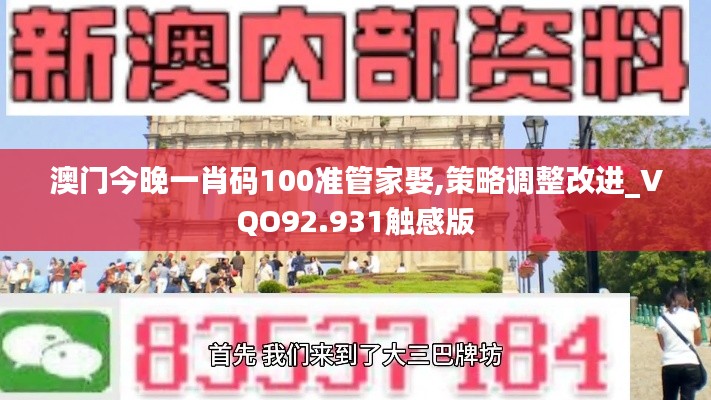 澳门今晚一肖码100准管家娶,策略调整改进_VQO92.931触感版