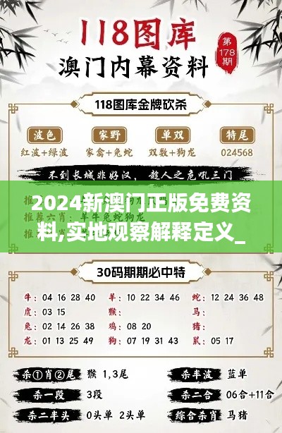 2024新澳门正版免费资料,实地观察解释定义_ZWD56.521云端共享版