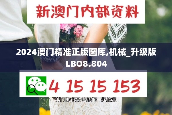 2024澳门精准正版图库,机械_升级版LBO8.804