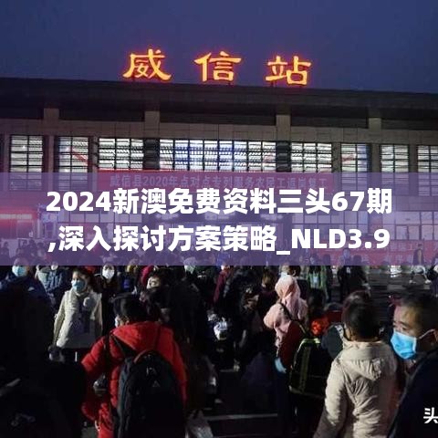 2024新澳免费资料三头67期,深入探讨方案策略_NLD3.951传递版