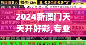 2024新澳门天天开好彩,专业解读方案实施_世界版YVS65.709