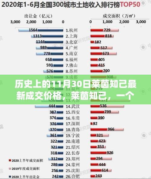 莱茵知己，友情、温馨与历史的日常故事——最新成交价格揭秘