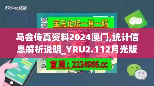 马会传真资料2024澳门,统计信息解析说明_YRU2.112月光版