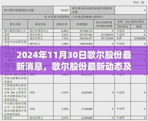 歌尔股份最新动态及未来展望（2024年11月30日更新）