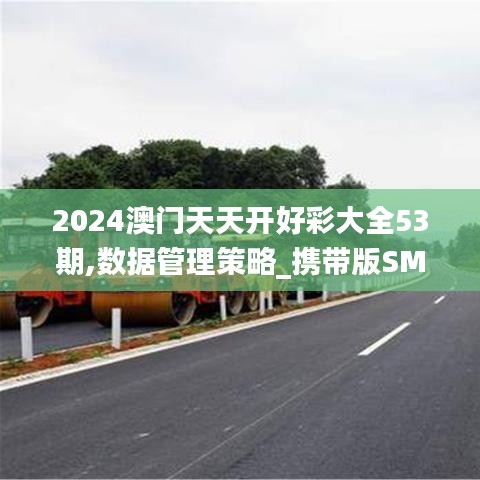 2024澳门天天开好彩大全53期,数据管理策略_携带版SMV91.748