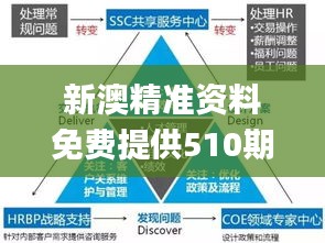 新澳精准资料免费提供510期,案例实证分析_CBL8.607演讲版