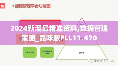 2024新澳最精准资料,数据管理策略_品味版FLL11.470