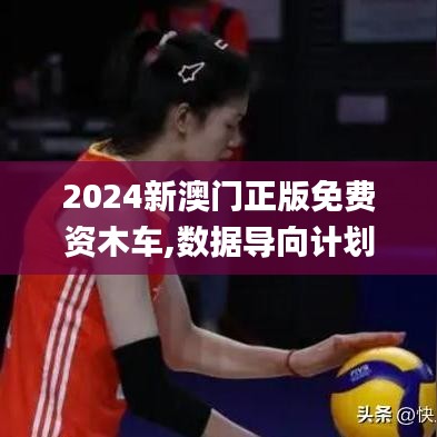 2024新澳门正版免费资木车,数据导向计划_PUH87.829职业版