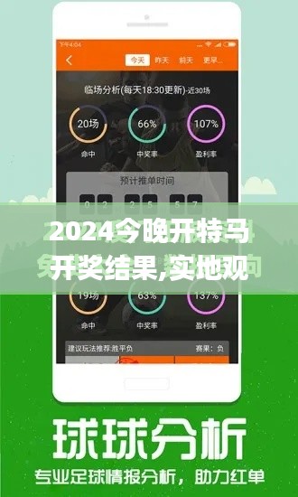 2024今晚开特马开奖结果,实地观察解释定义_影像处理版LLQ23.863