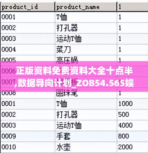 正版资料免费资料大全十点半,数据导向计划_ZOB54.565娱乐版