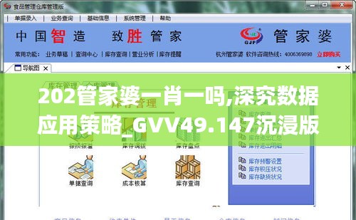 202管家婆一肖一吗,深究数据应用策略_GVV49.147沉浸版