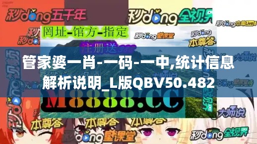 管家婆一肖-一码-一中,统计信息解析说明_L版QBV50.482