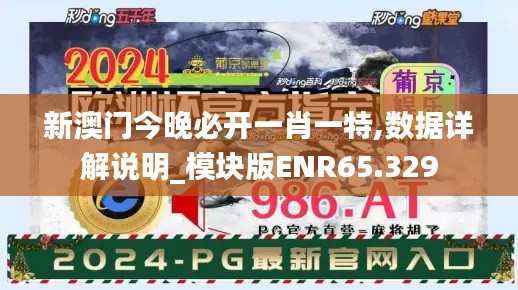 新澳门今晚必开一肖一特,数据详解说明_模块版ENR65.329