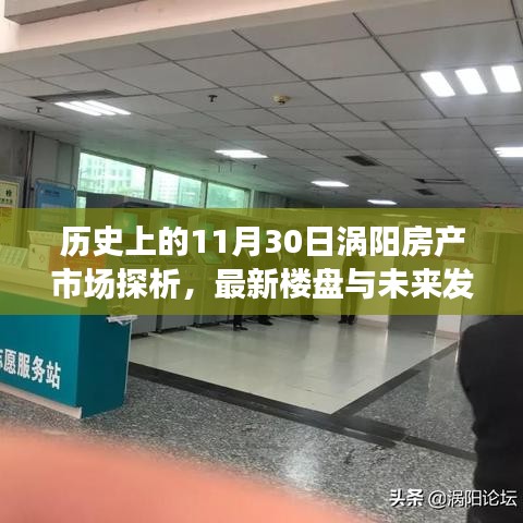 涡阳房产市场历史探析与未来展望，最新楼盘及未来发展趋势分析（11月30日）