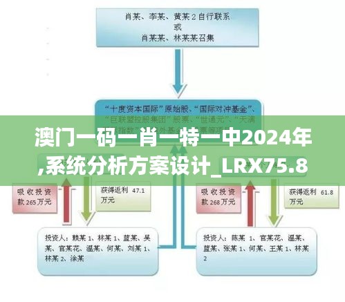 澳门一码一肖一特一中2024年,系统分析方案设计_LRX75.868职业版