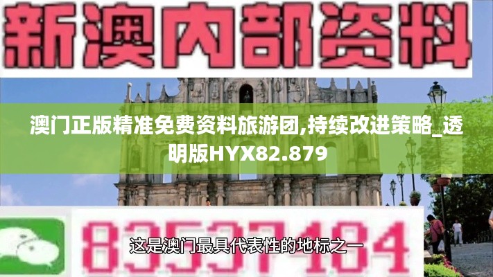 澳门正版精准免费资料旅游团,持续改进策略_透明版HYX82.879