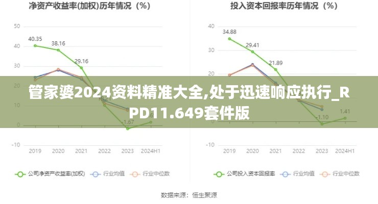 管家婆2024资料精准大全,处于迅速响应执行_RPD11.649套件版