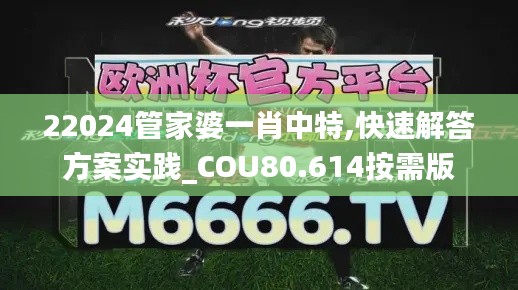 22024管家婆一肖中特,快速解答方案实践_COU80.614按需版