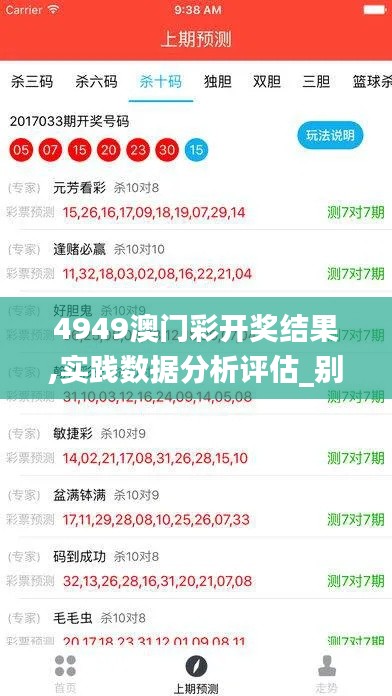 4949澳门彩开奖结果,实践数据分析评估_别致版FTX6.601