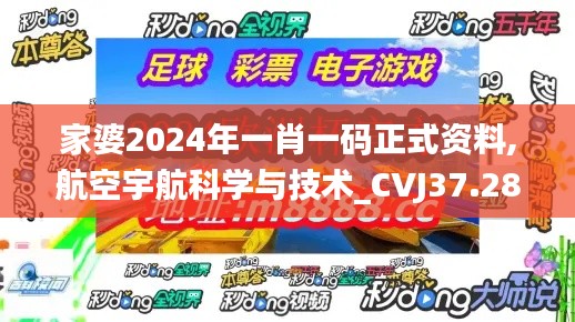 家婆2024年一肖一码正式资料,航空宇航科学与技术_CVJ37.286按需版