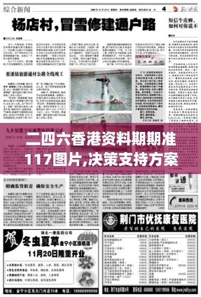 二四六香港资料期期准117图片,决策支持方案_TDI81.157交互版