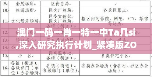 澳门一码一肖一特一中Ta几si,深入研究执行计划_紧凑版ZOR53.705