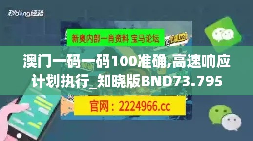 澳门一码一码100准确,高速响应计划执行_知晓版BND73.795