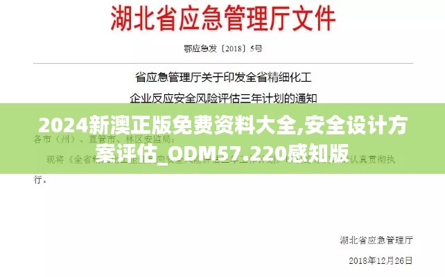 2024新澳正版免费资料大全,安全设计方案评估_ODM57.220感知版