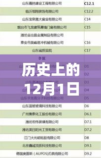 12月1日门窗行业深度洞察，历史趋势与聚焦观点探讨