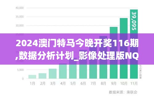 2024澳门特马今晚开奖116期,数据分析计划_影像处理版NQC23.222