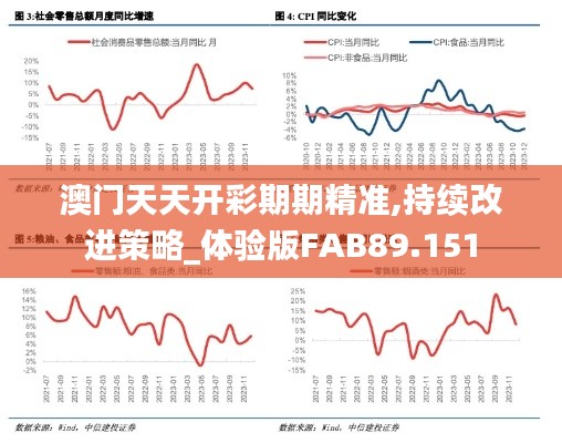 澳门天天开彩期期精准,持续改进策略_体验版FAB89.151