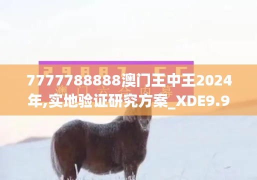 7777788888澳门王中王2024年,实地验证研究方案_XDE9.932活力版