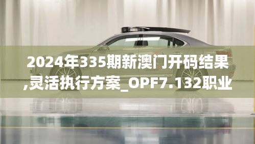 2024年335期新澳门开码结果,灵活执行方案_OPF7.132职业版