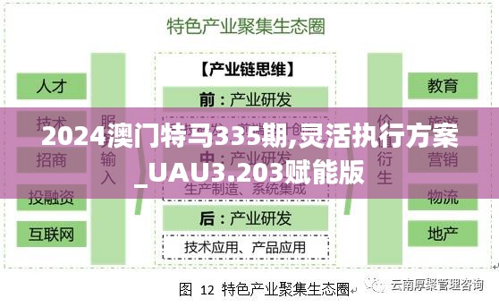 2024澳门特马335期,灵活执行方案_UAU3.203赋能版