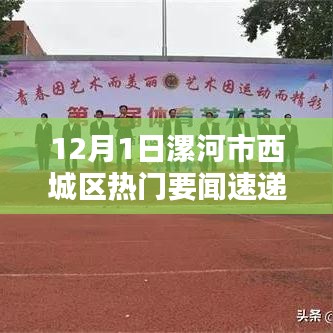 12月1日漯河市西城区最新热门要闻速递