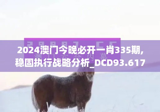 2024澳门今晚必开一肖335期,稳固执行战略分析_DCD93.617智巧版