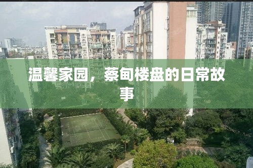 蔡甸楼盘的日常故事，温馨家园的生活点滴