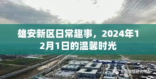 雄安新区日常趣事，温馨时光里的趣事，记录于2024年12月1日